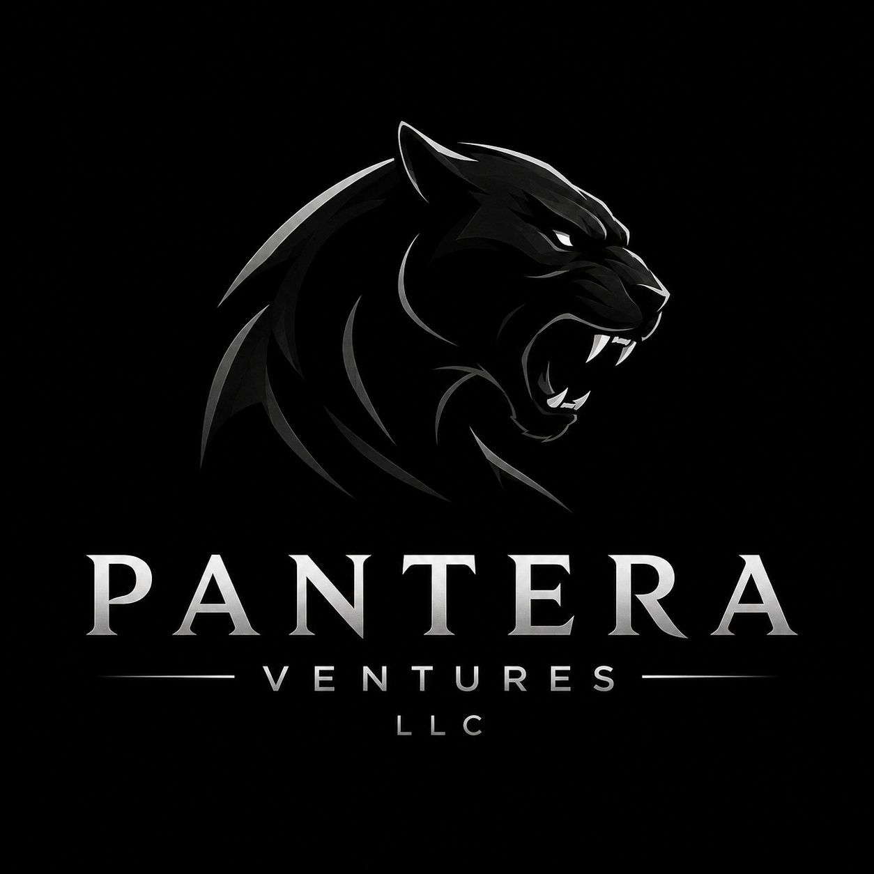 Pantera Ventures LLC